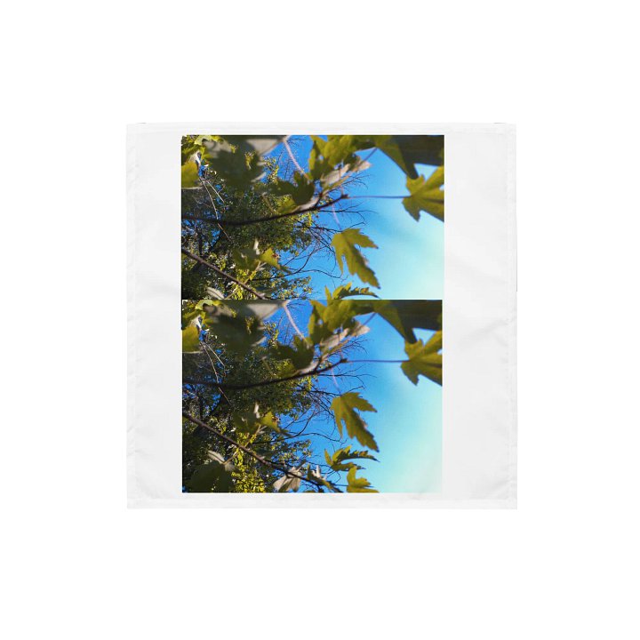 the sky product image (1)