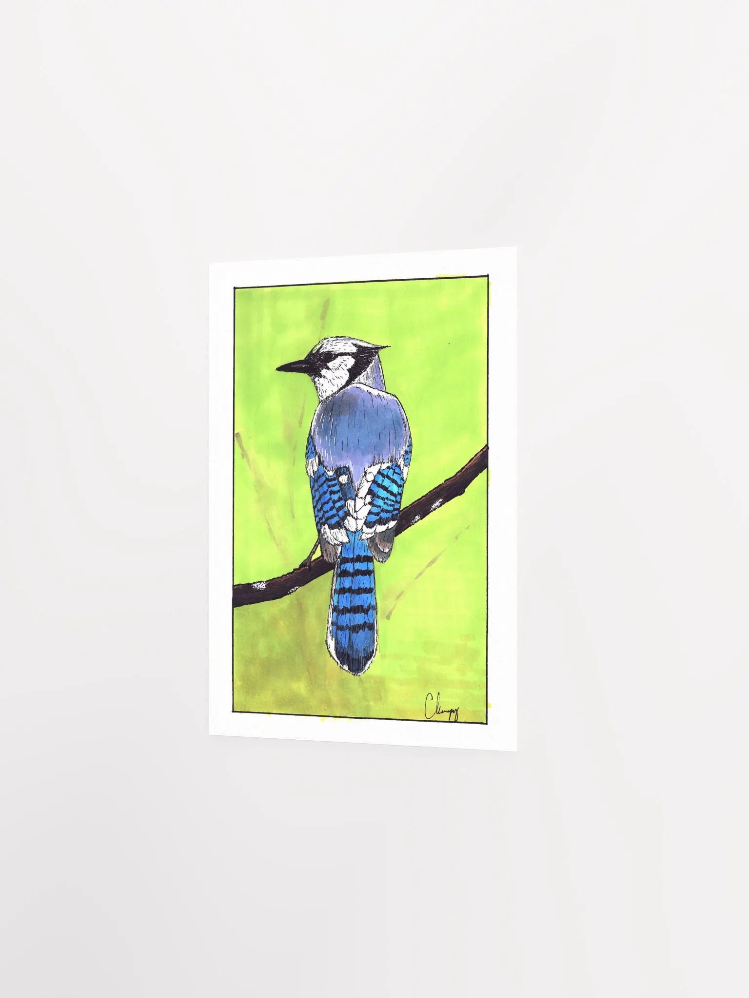 Blue Jay Print product image (2)