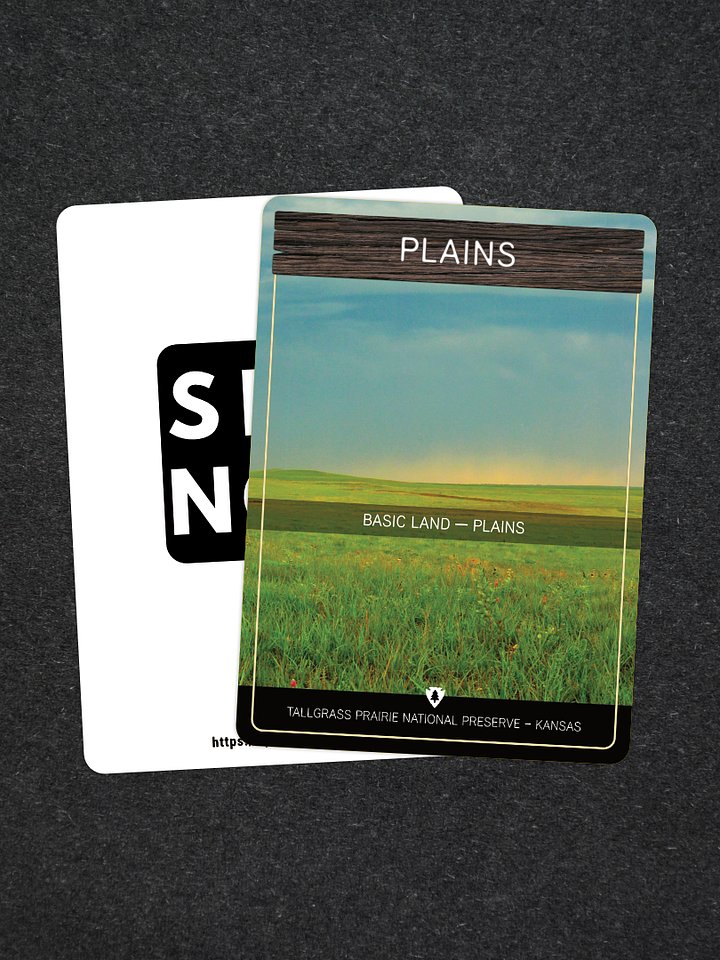 National Park & Forest Basic Land Proxies - Plains (5 Pack) product image (1)
