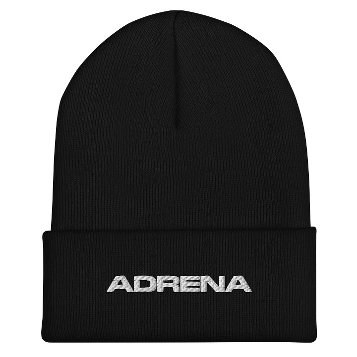 Cuffed Beanie product image (1)