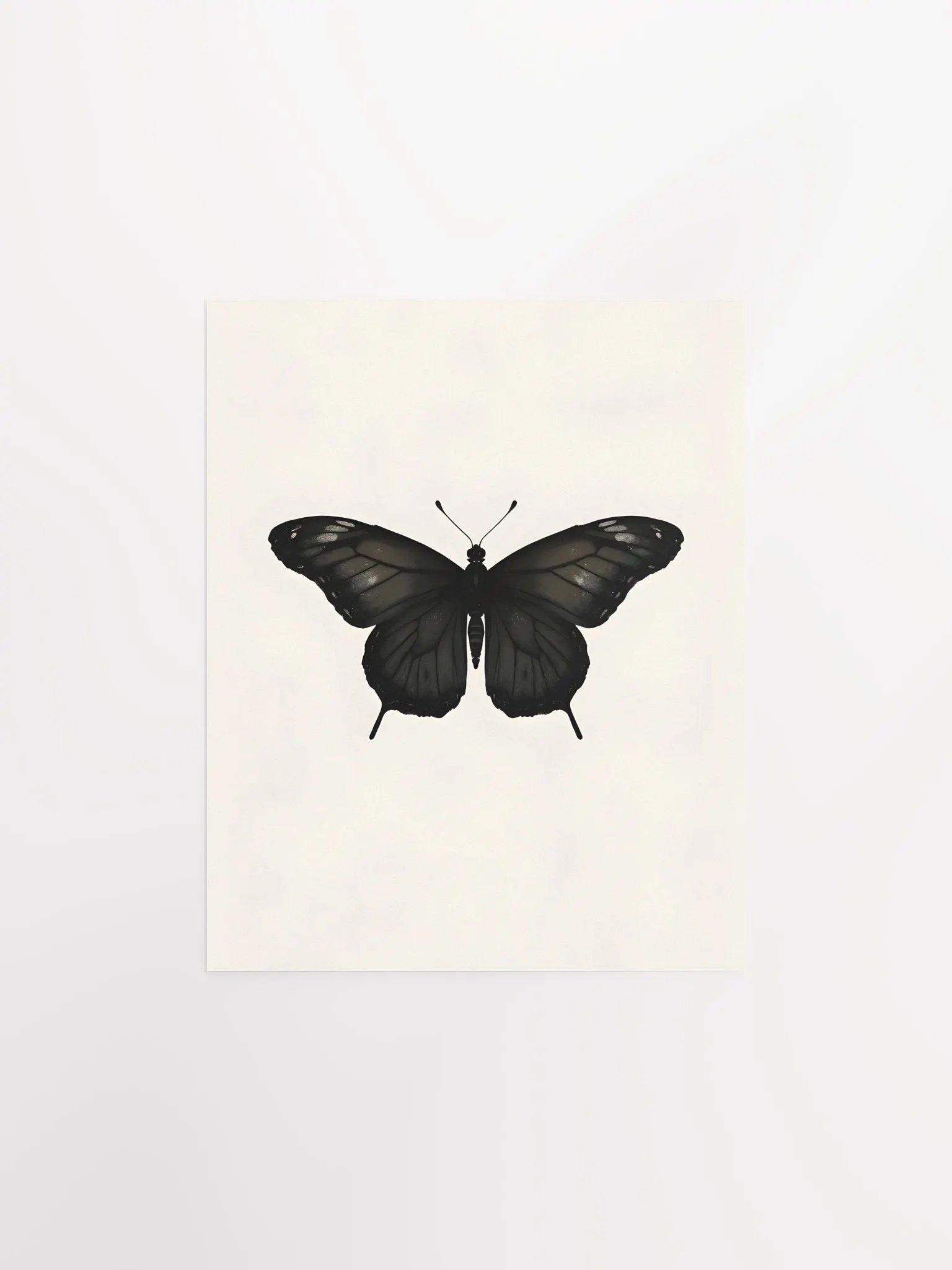 Black Butterfly Spread Wings product image (2)
