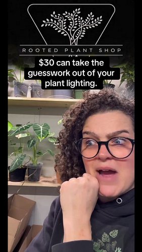 If you’re starting to think about grow lights for winter, grab a light meter. You can get one for around $30, and instead of ...