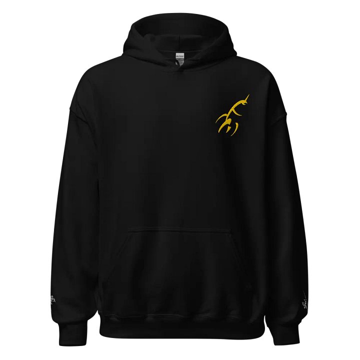 Gold Rocket Hoodie product image (2)