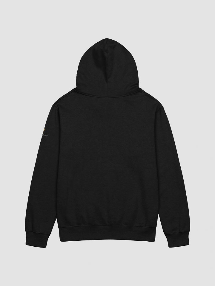 Independent Trading Co. Support Indie Author Hoodie product image (6)