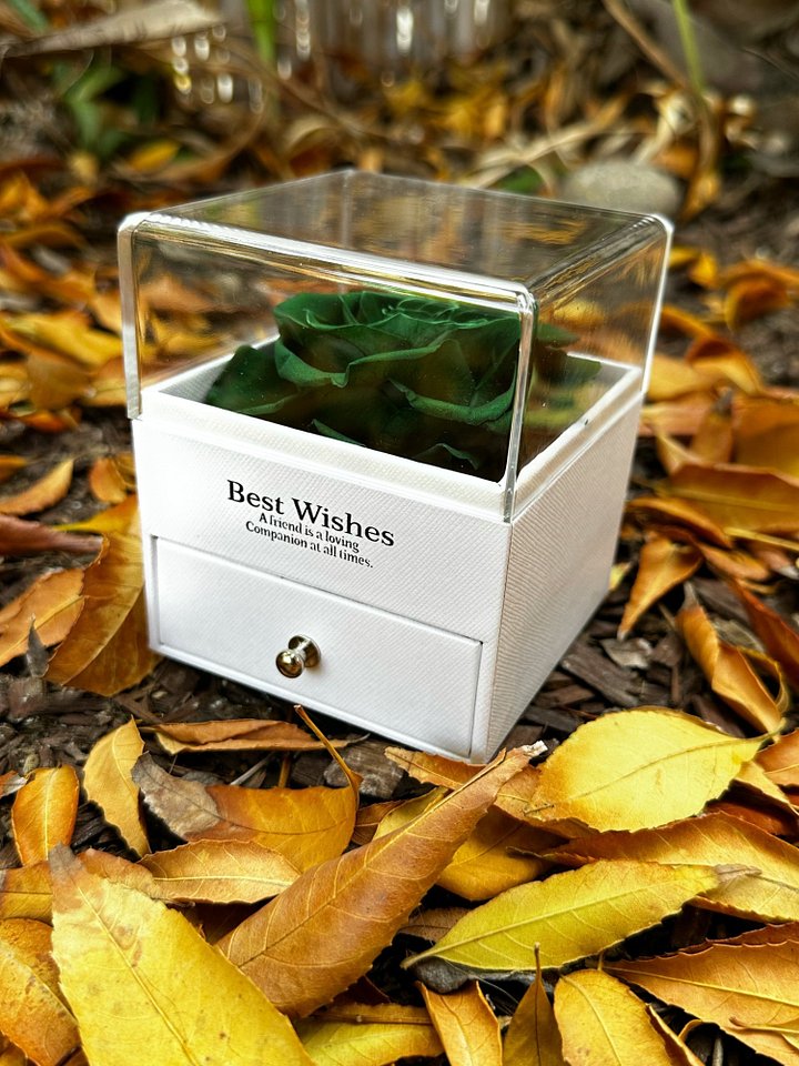 Eternal Rose Gift Box with "I Love You" Necklace (Green) product image (2)