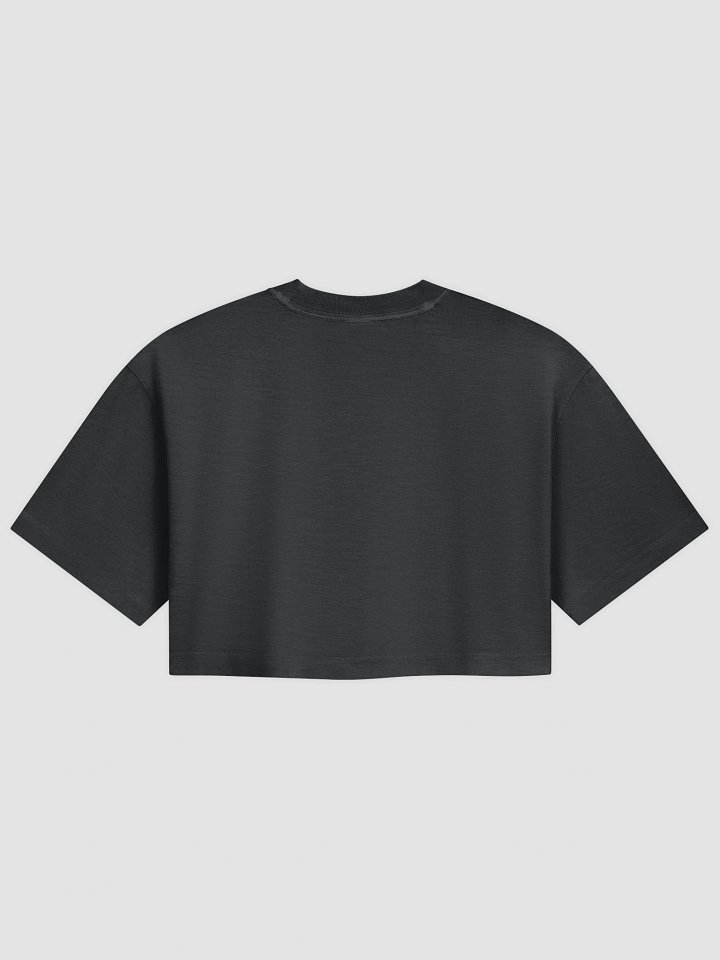 Grá Meaning Love 🧡 Pride Cropped T-shirt in Irish / Gaeilge / Gaelic product image (2)