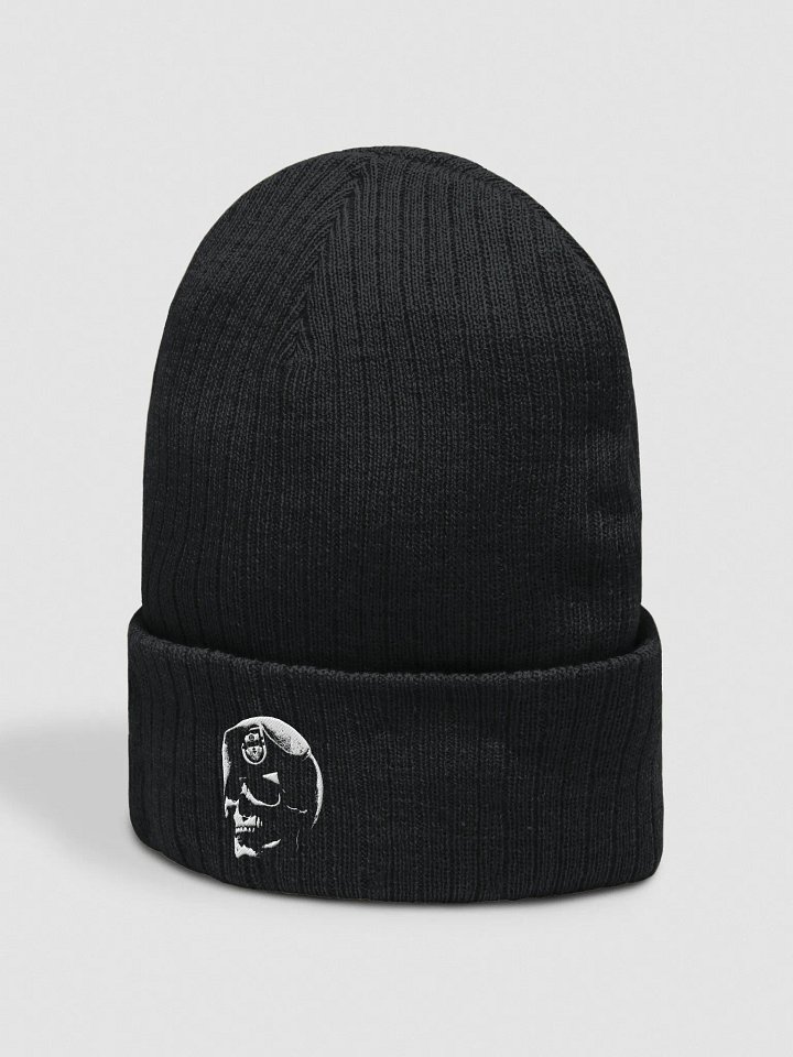 Skull Beret Subdued Beanie product image (6)