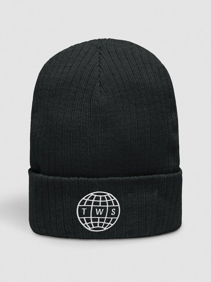 TransWorld SKATEboarding Global Beanie product image (1)
