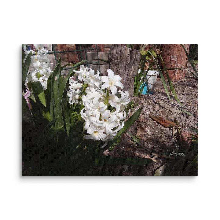 Alabaster & Earth – Fine Art Canvas product image (2)