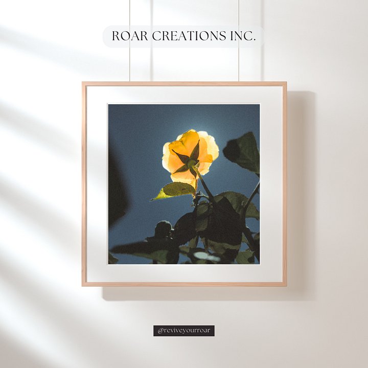 An Ant’s Moon. product image (1)