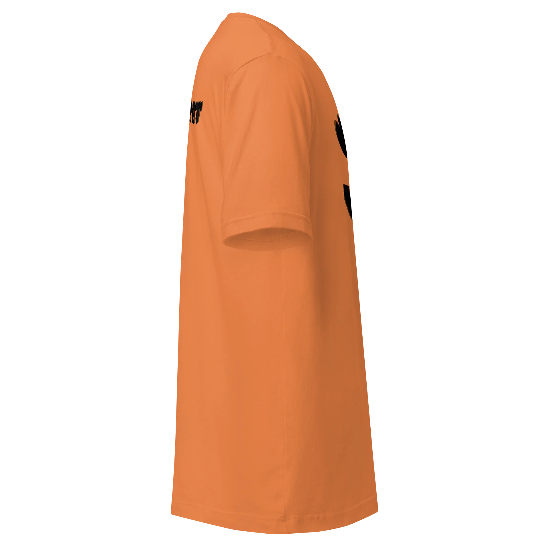 Pumpkin T Shirt🎃🧡 product image (3)