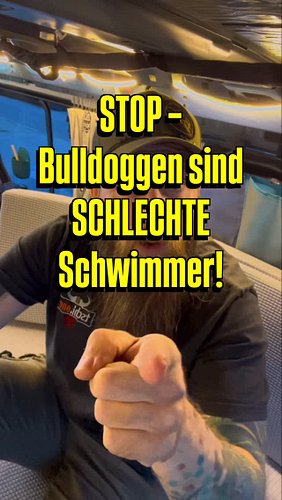 🐶 Viele denken, Bulldoggen sind kleine Seelöwen 🦭 – aber nope!
Mit kurzen Beinchen & viel Muskelmasse sind sie leider schlech...
