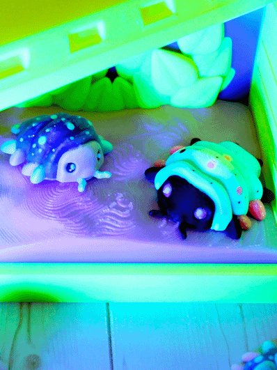 Isopods product image (1)