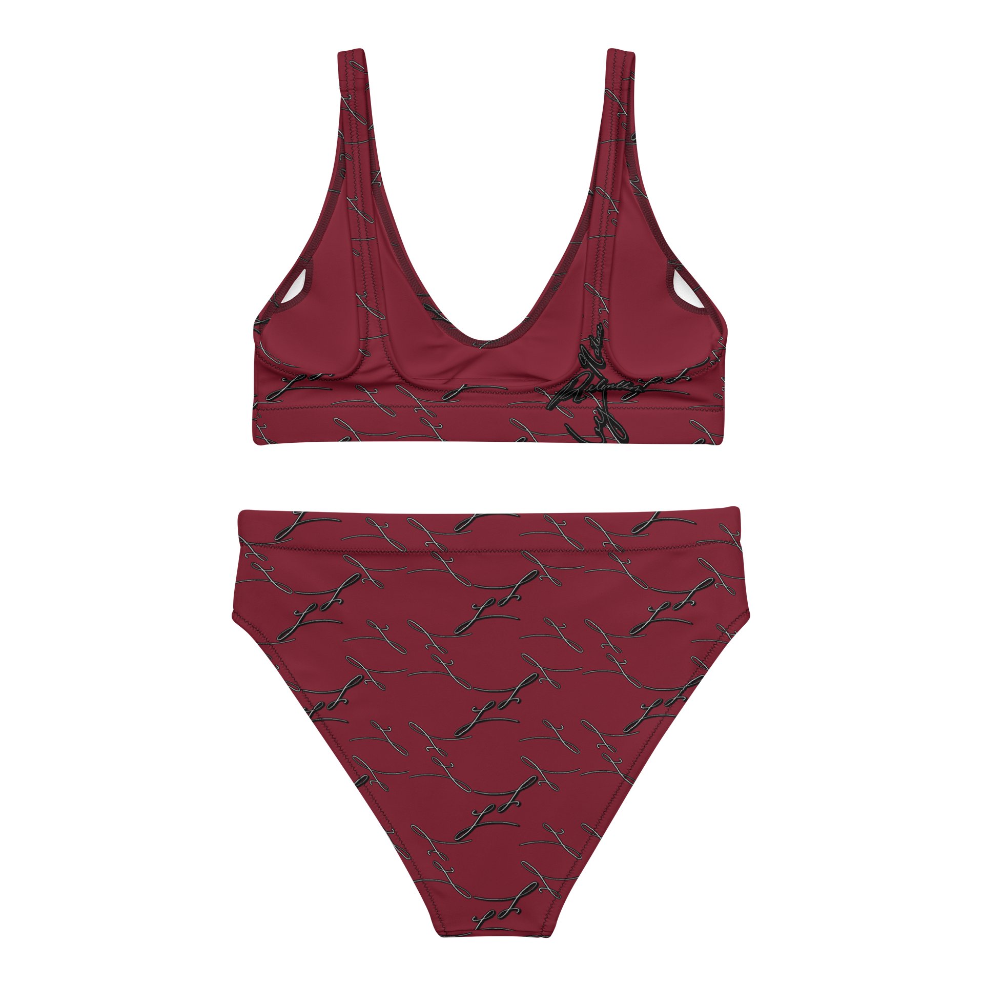 Toasted Merlot | High Waisted Bikini product image (3)