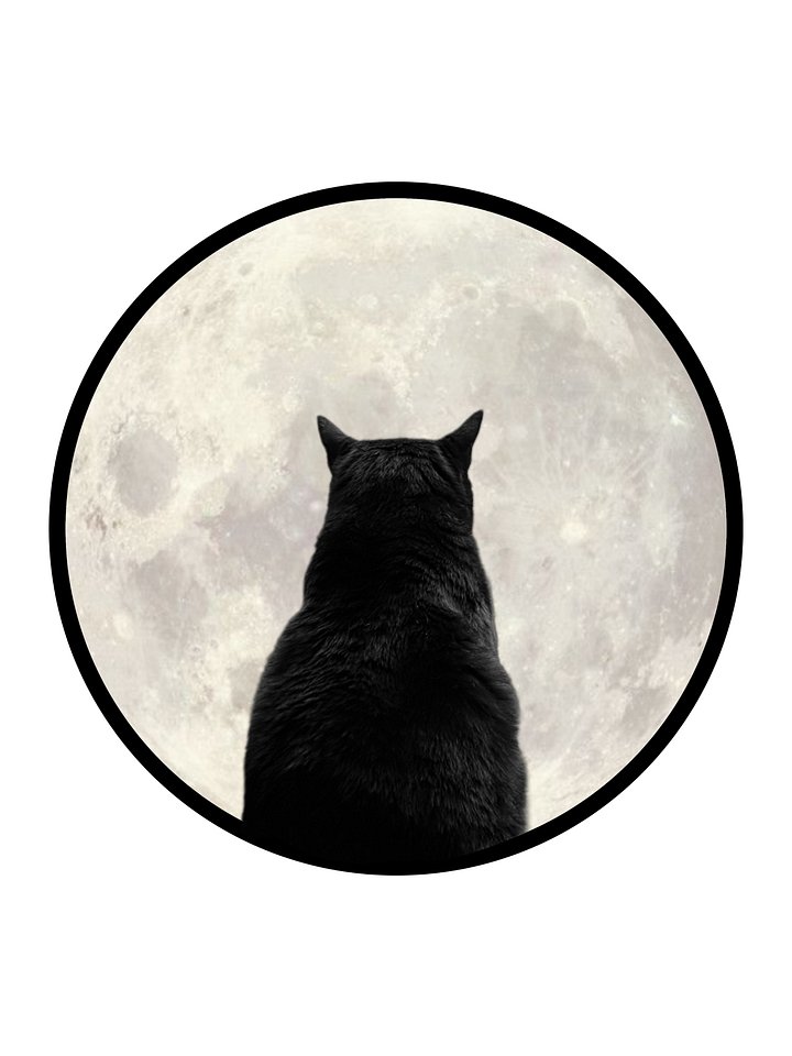 Manny Moon magnet product image (1)