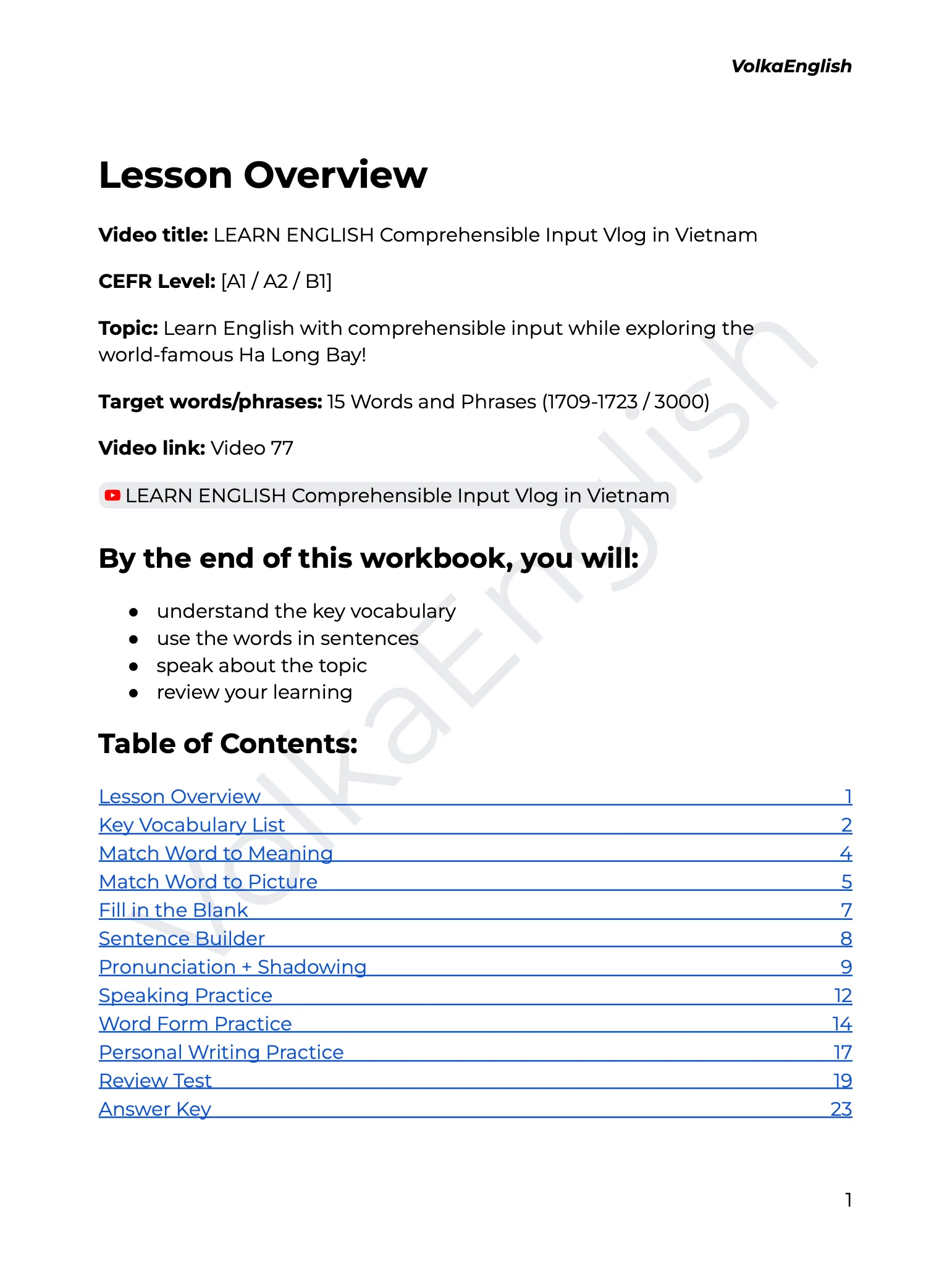 LEARN ENGLISH Comprehensible Input Vlog in Vietnam - Video 77 Study Pack product image (2)