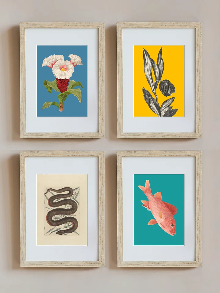 Colourful Tetraptych product image (1)