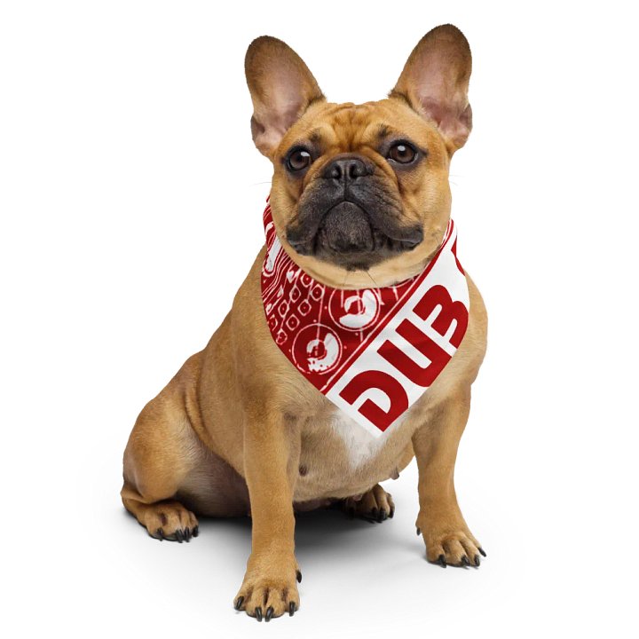 Dub Mission All-Over Print Bandana product image (1)