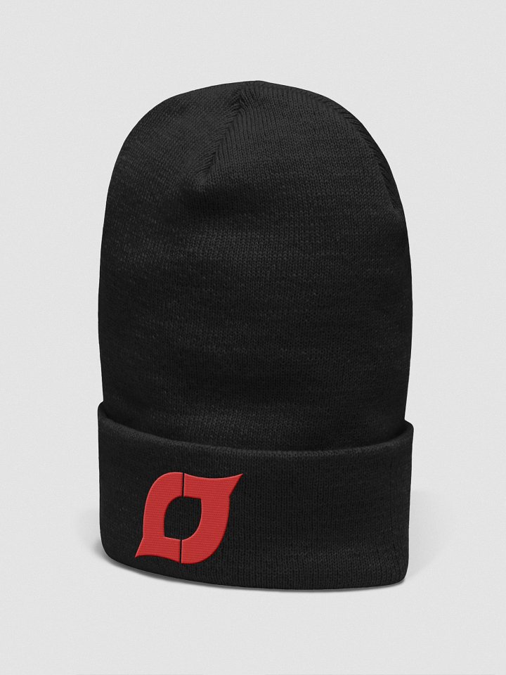 LJTV BEANIE product image (4)