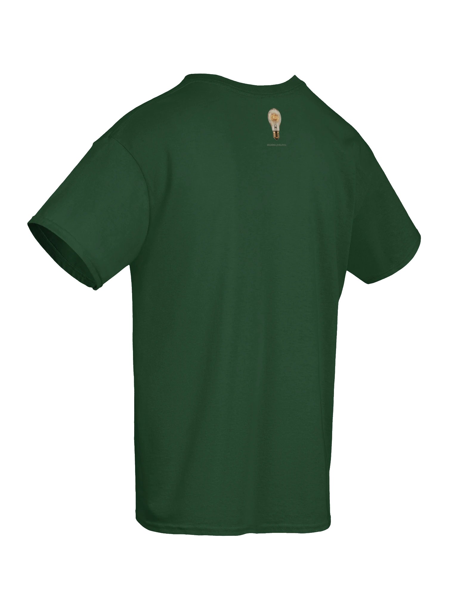 The Hours She Broke — Tee (Forest Green) product image (8)