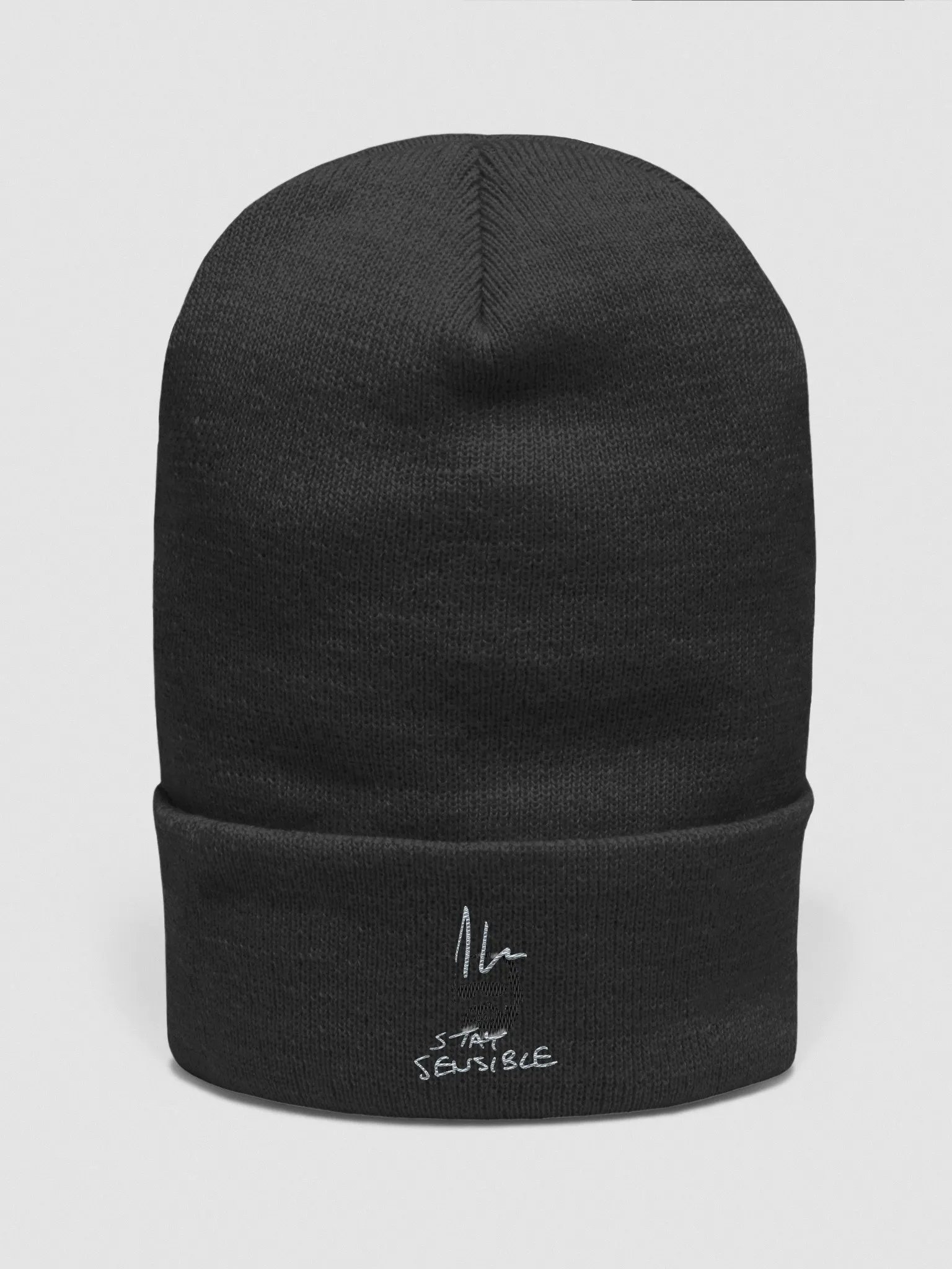 Jon Hare Stay Sensible Beanie product image (1)