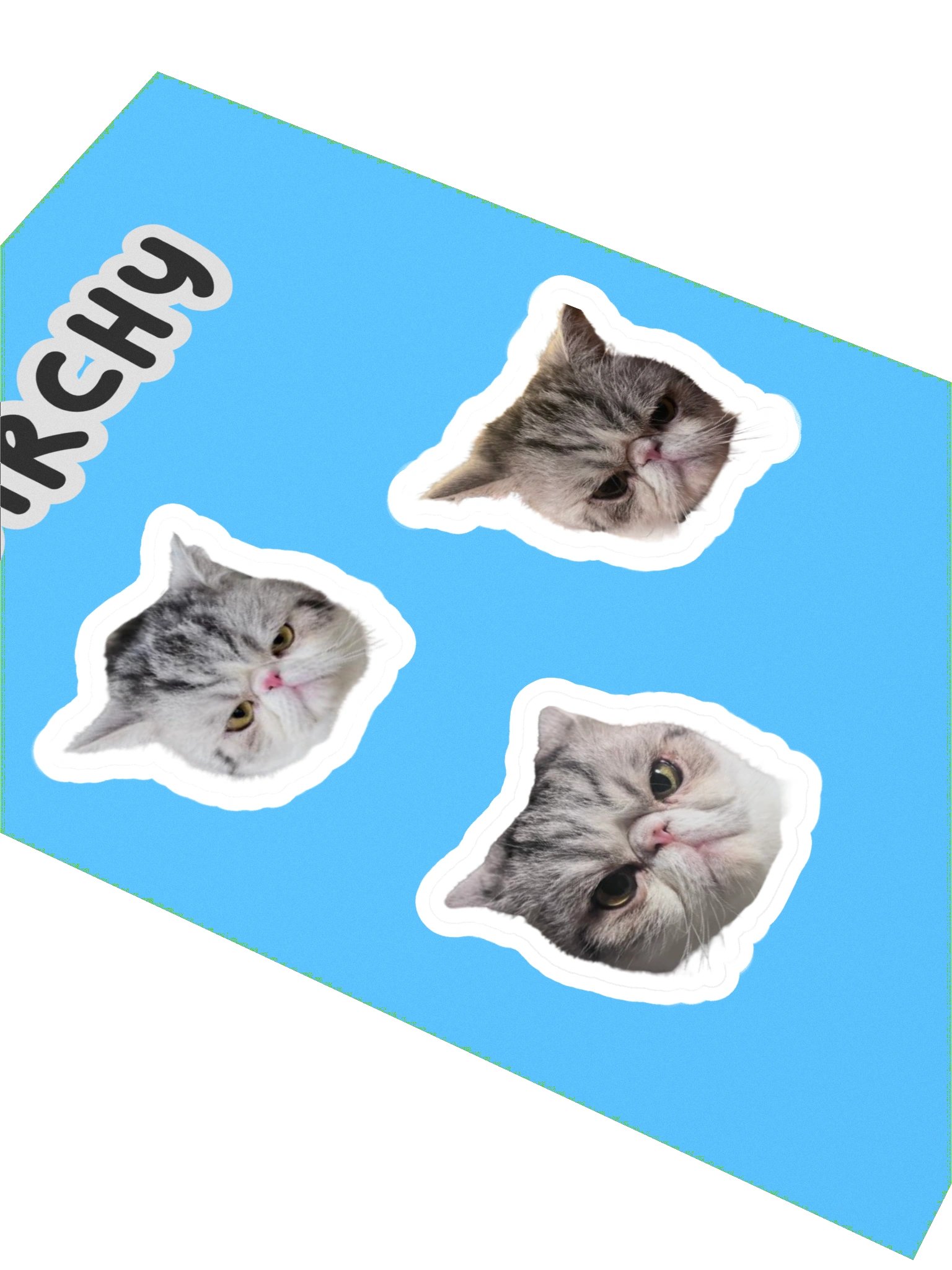 Real boy Birchy sticker sheet product image (2)