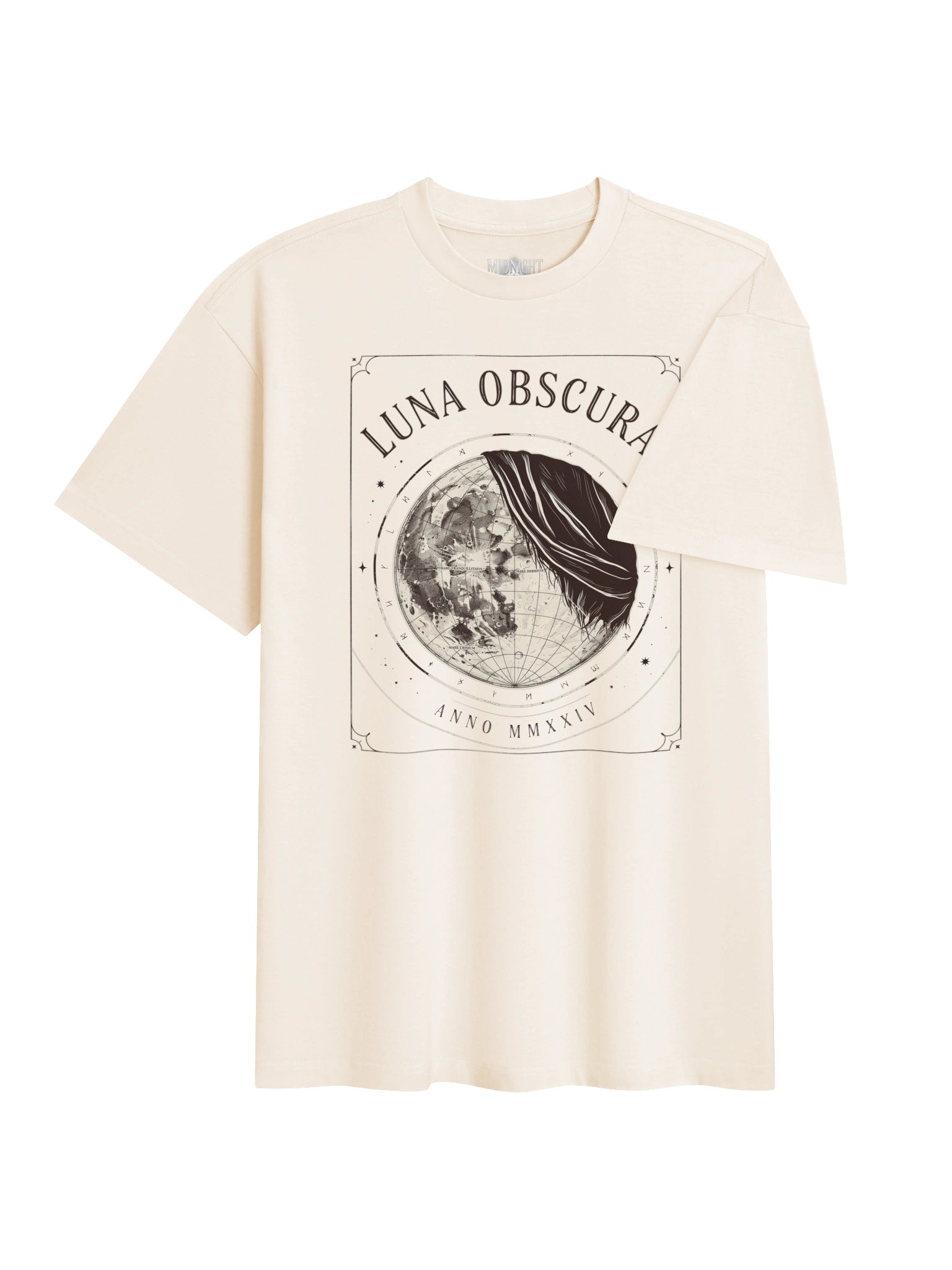 Luna Obscura Heavyweight Box Tee product image (18)