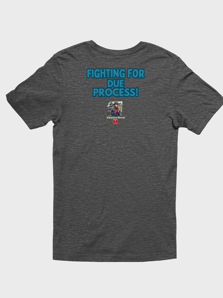 Stand up for Due Process - Due Process Soft T-Shirt product image (17)