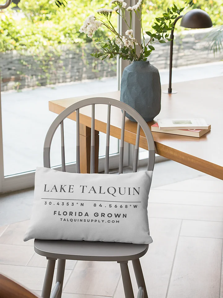 The Coordinates Pillow product image (1)