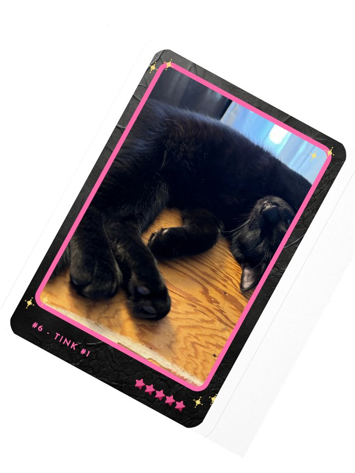 Channel Card 6 - Tink #1 product image (2)