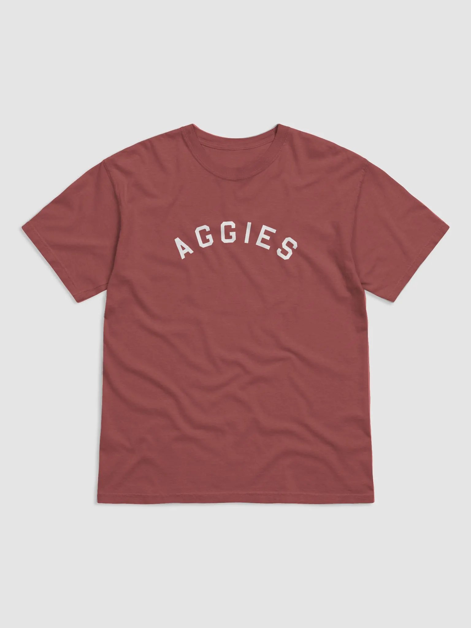 Aggies T-Shirt on Brick product image (1)