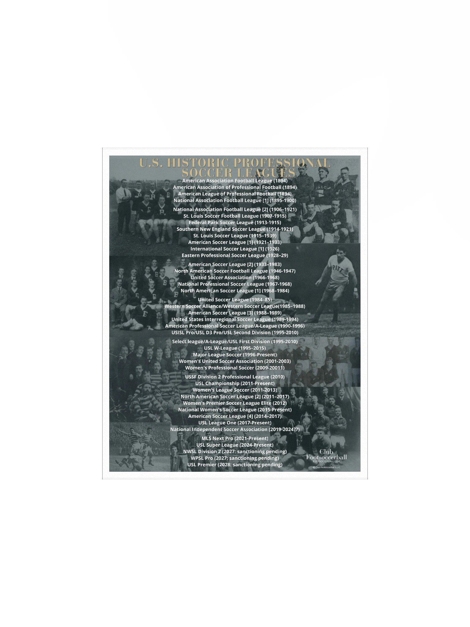 U.S. Historic Pro Leagues Poster product image (1)