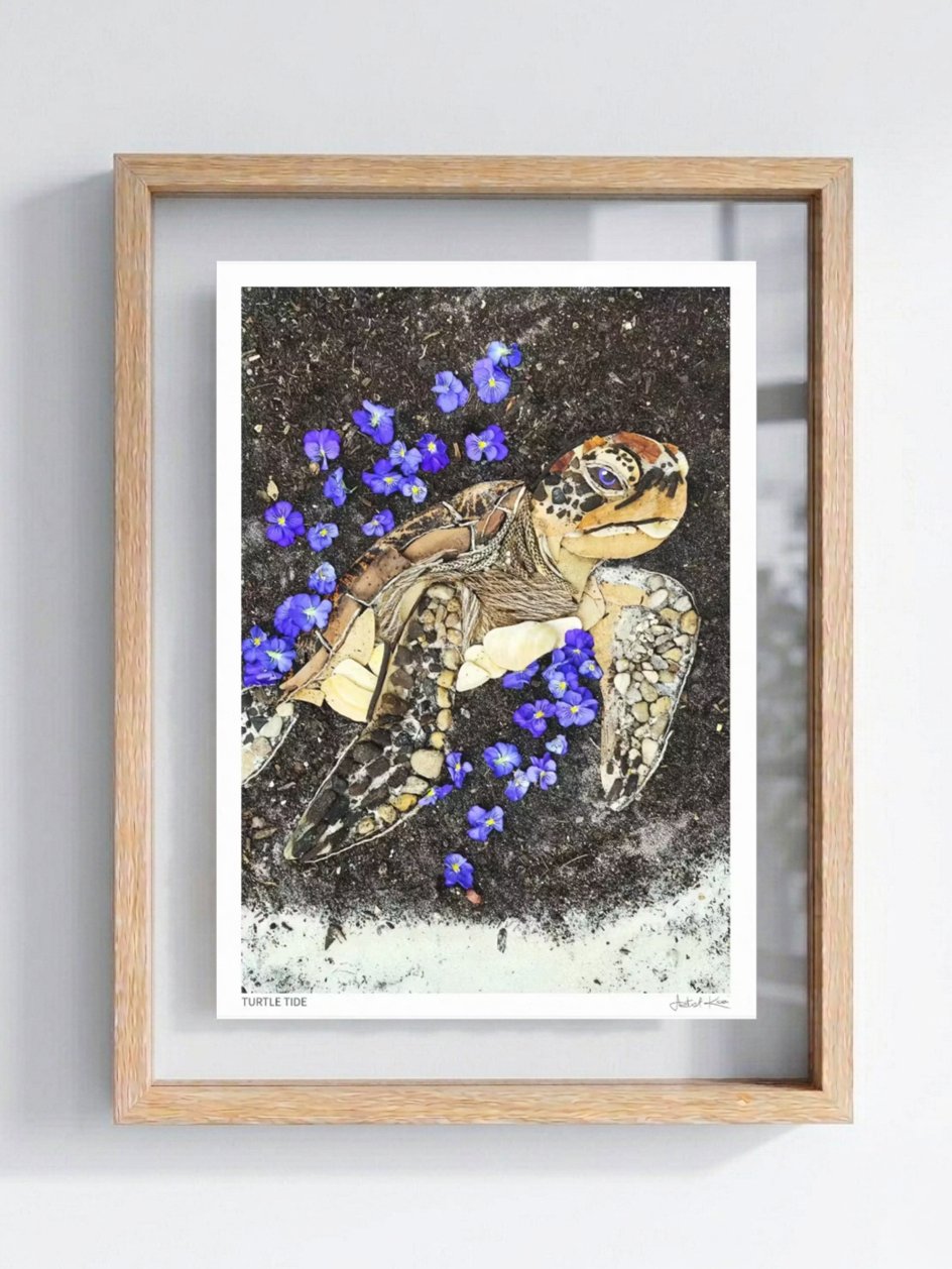 TURTLE TIDE | Fine Art Print product image (1)