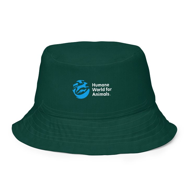 Reversible bucket hat with Animal Print product image (2)