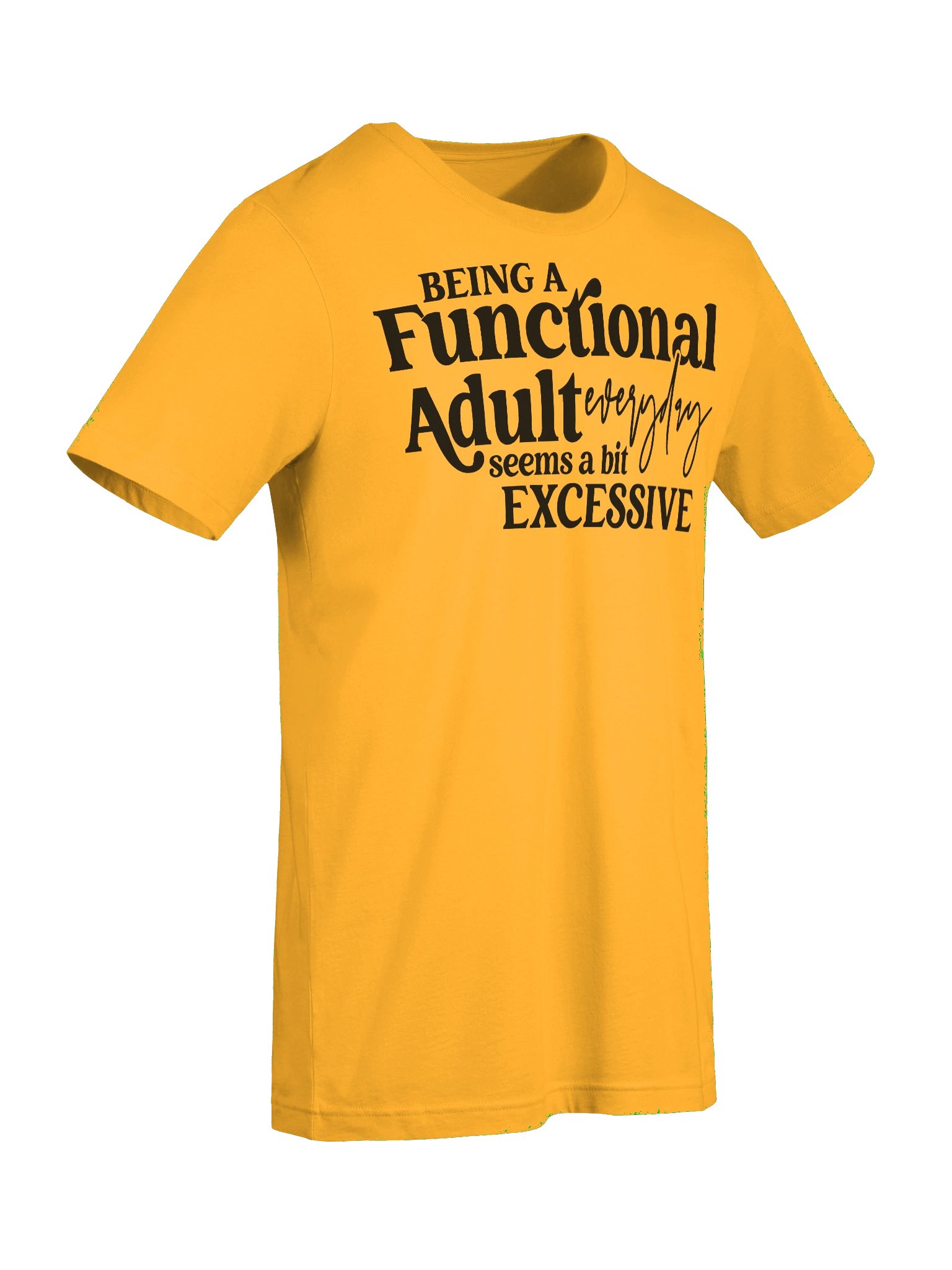 Being A Functional Adult product image (24)