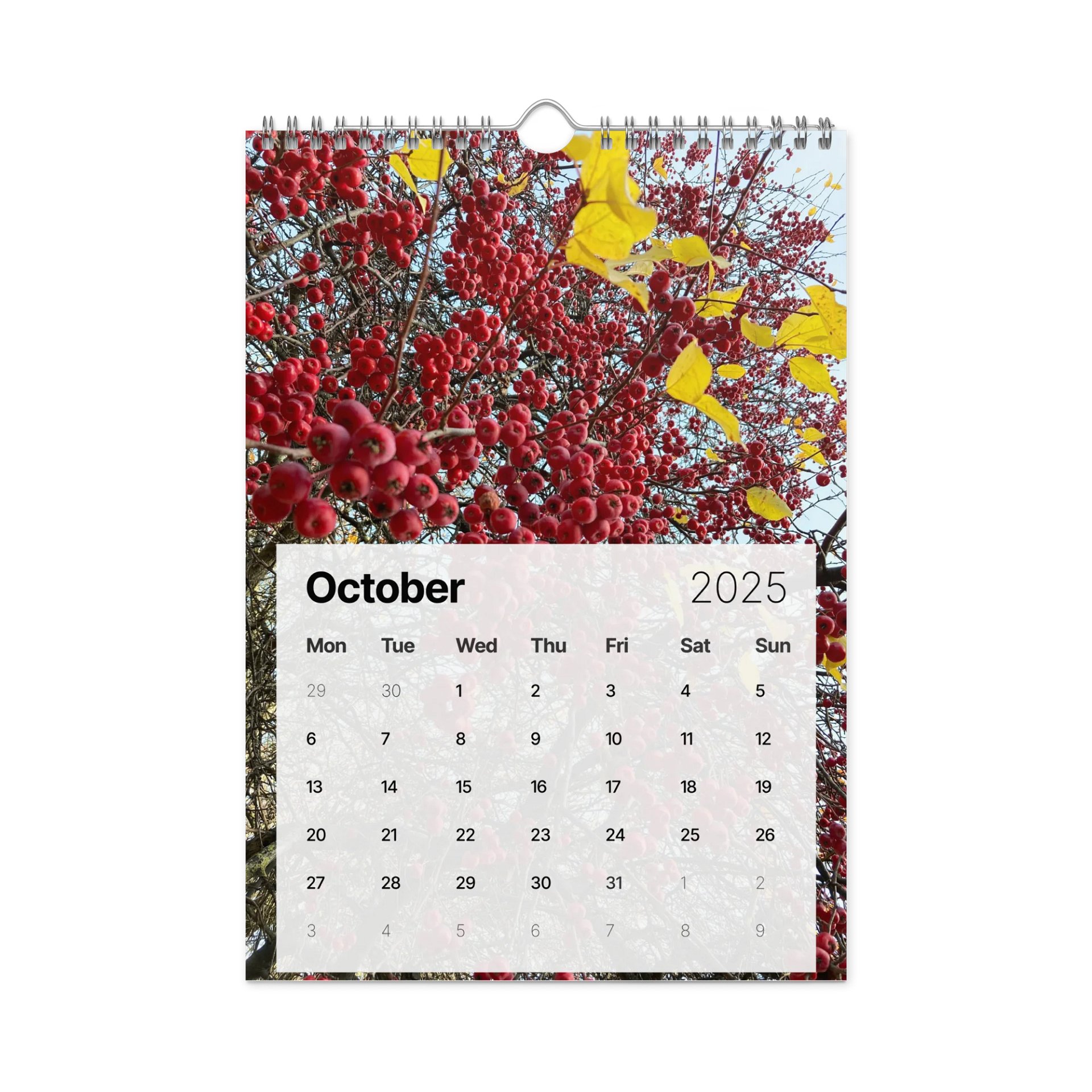 Golden Harvest: 2025 Mushroom Wall Calendar product image (12)