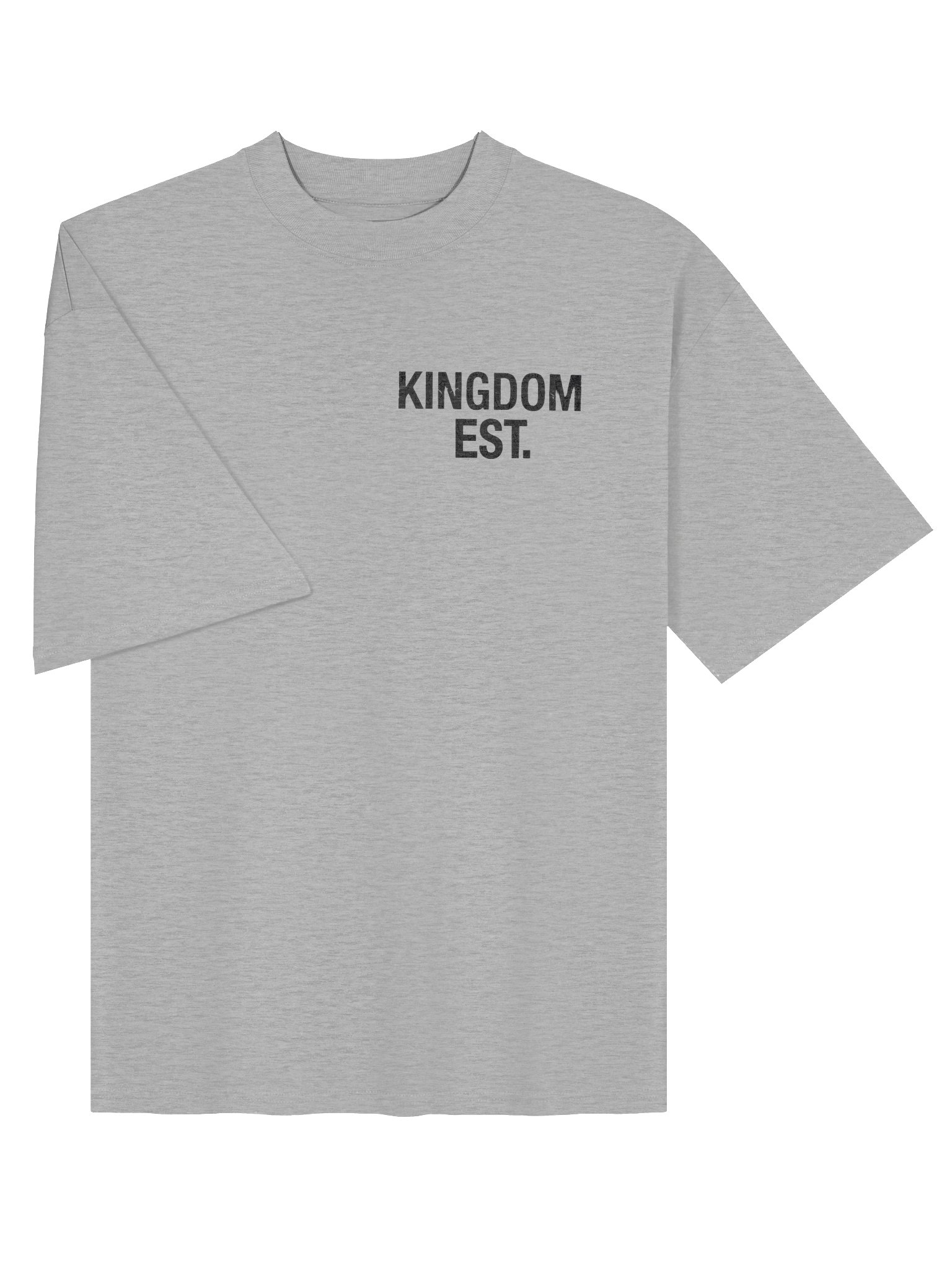 EST Men's Organic Oversized T-Shirt product image (9)
