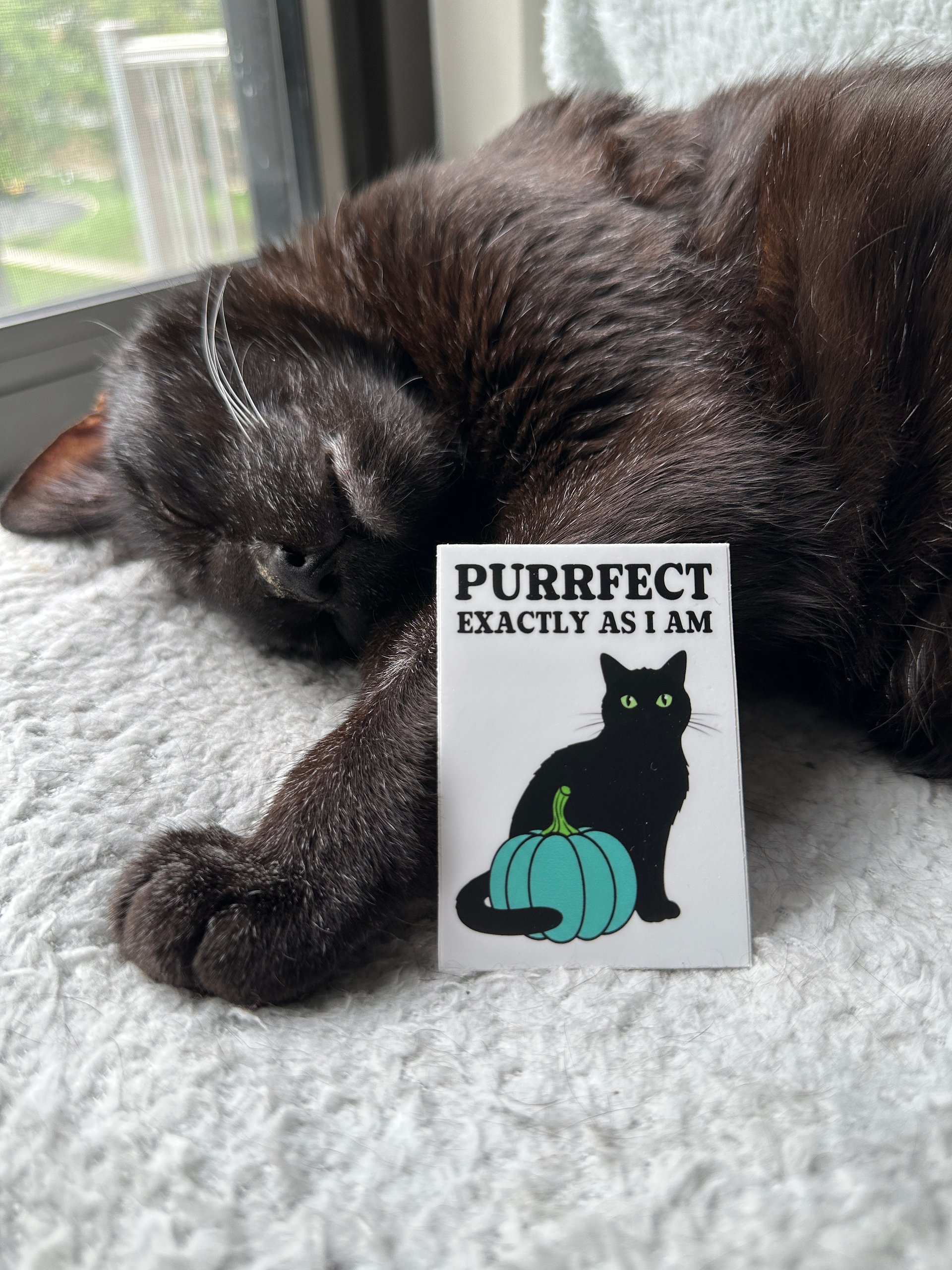 Teal Pumpkin Cat sticker product image (2)