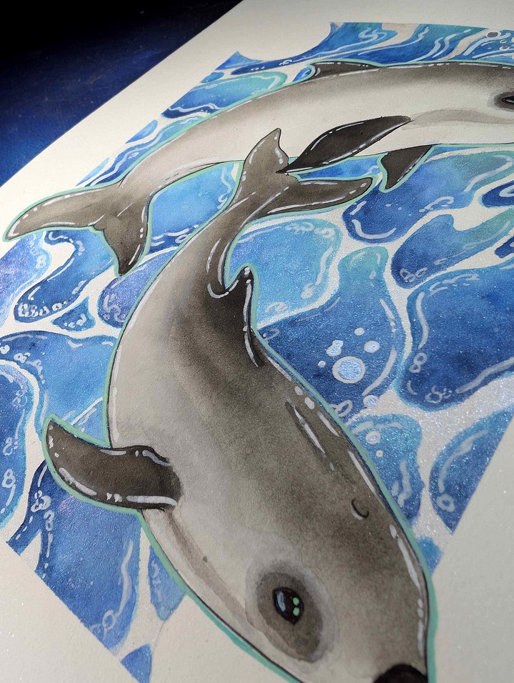 Vaquita Watercolor product image (2)