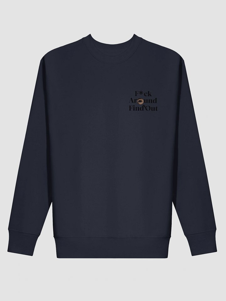 Eye-Catching 'F*ck Around Find Out' Sweatshirt product image (13)