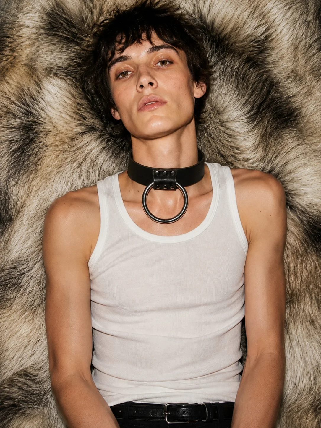 Frisky Dog Collar