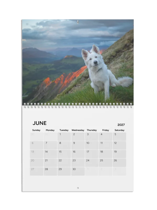 Lil Rasta Calendar 2027 product image (3)
