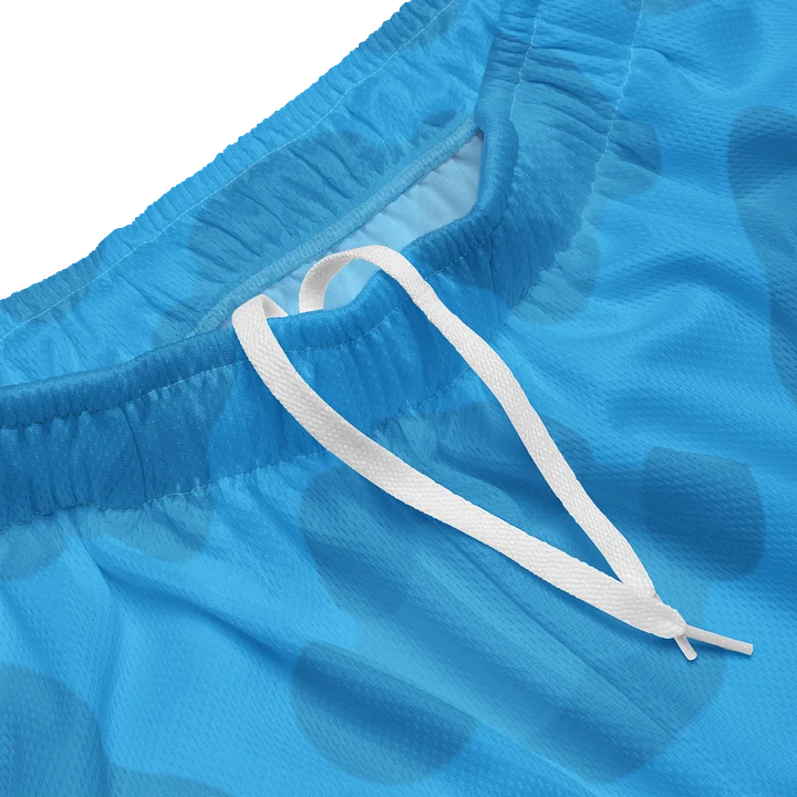 BLUE RIVER Tobeta Bango™ 243 Street Shorts product image (2)