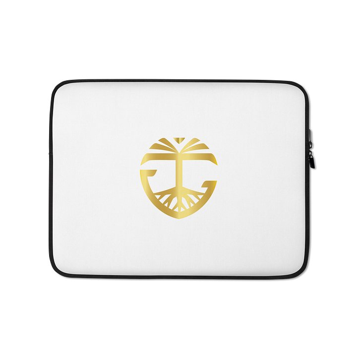 Laptop bag product image (1)
