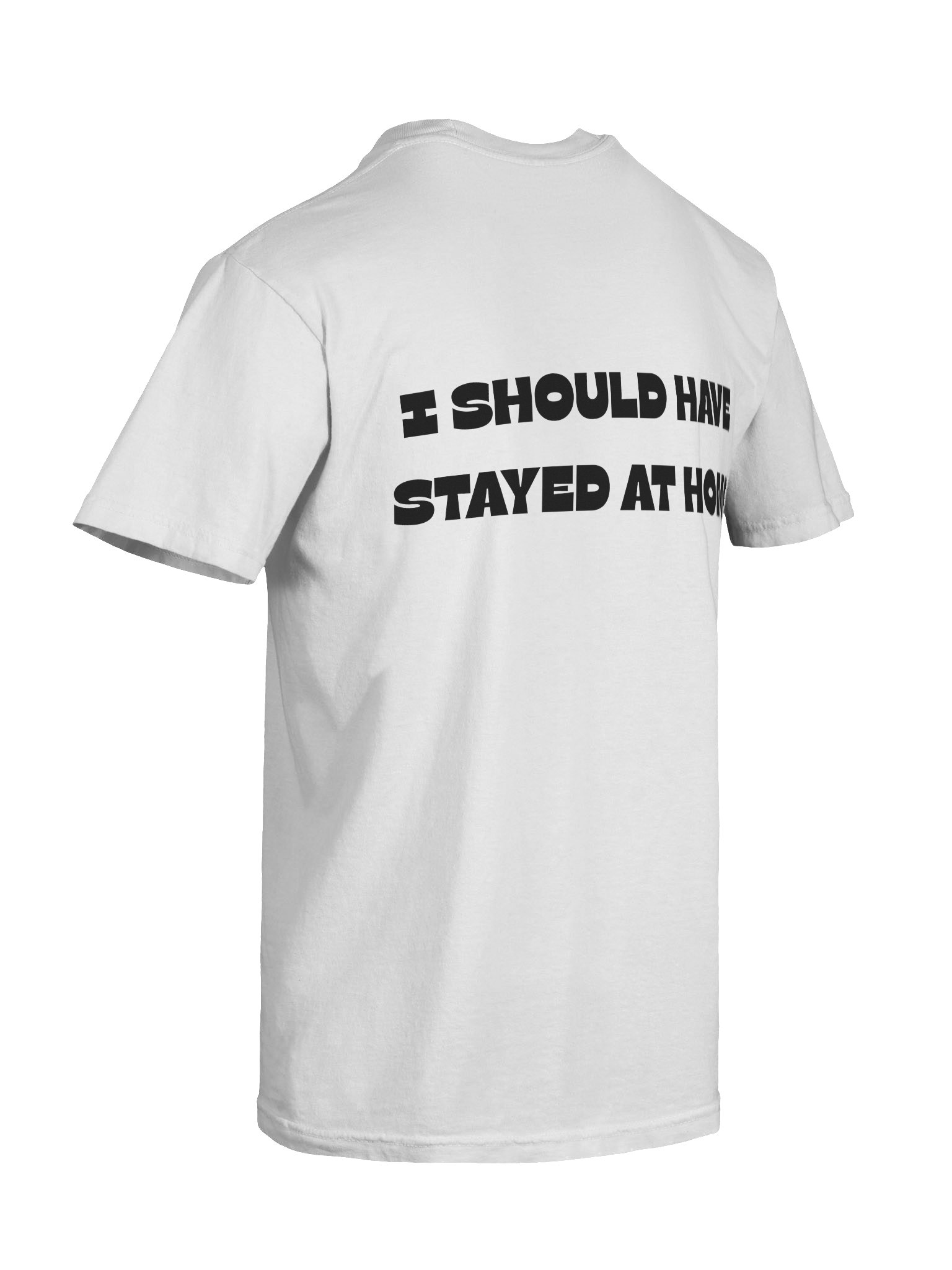 I Should've Stayed At Home T-Shirt product image (20)