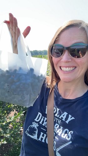 This #harvest includes blueberries from Larriland. Our #backyardgarden didn’t produce blueberries like it normally does so we...