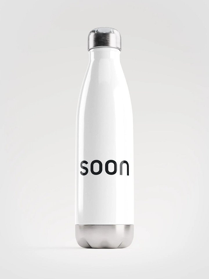 Stainless Steel Water Bottle product image (1)