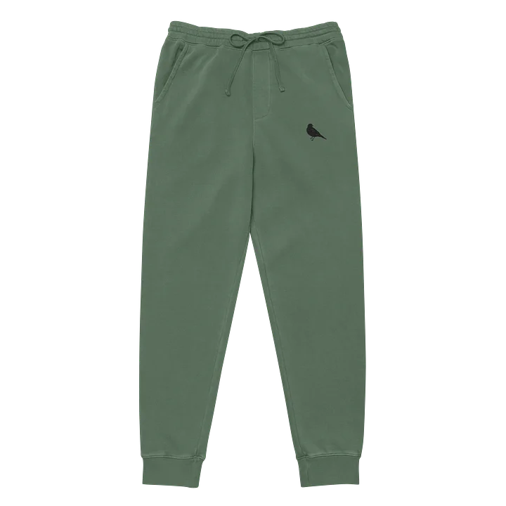 Pigment Dyed Comfort: Ultra Soft Joggers product image (2)