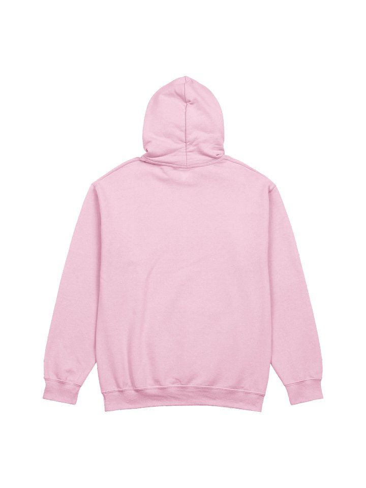Burrowing Owl Birdwatching Hoodie product image (22)