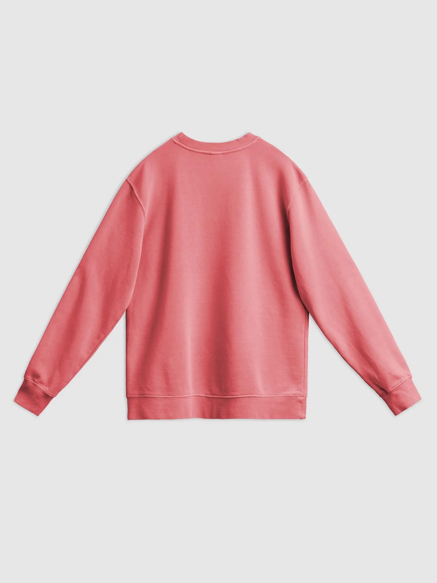 Bubbly and a B*tch (fuchsia design) printed pigment crewneck product image (16)